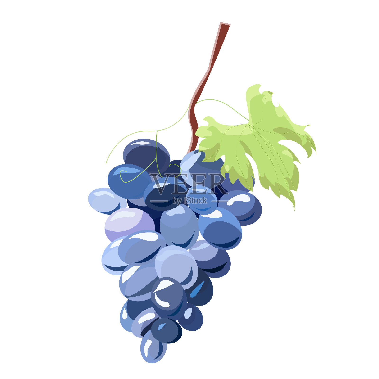 白色背景上的一串紫色葡萄设计元素图片