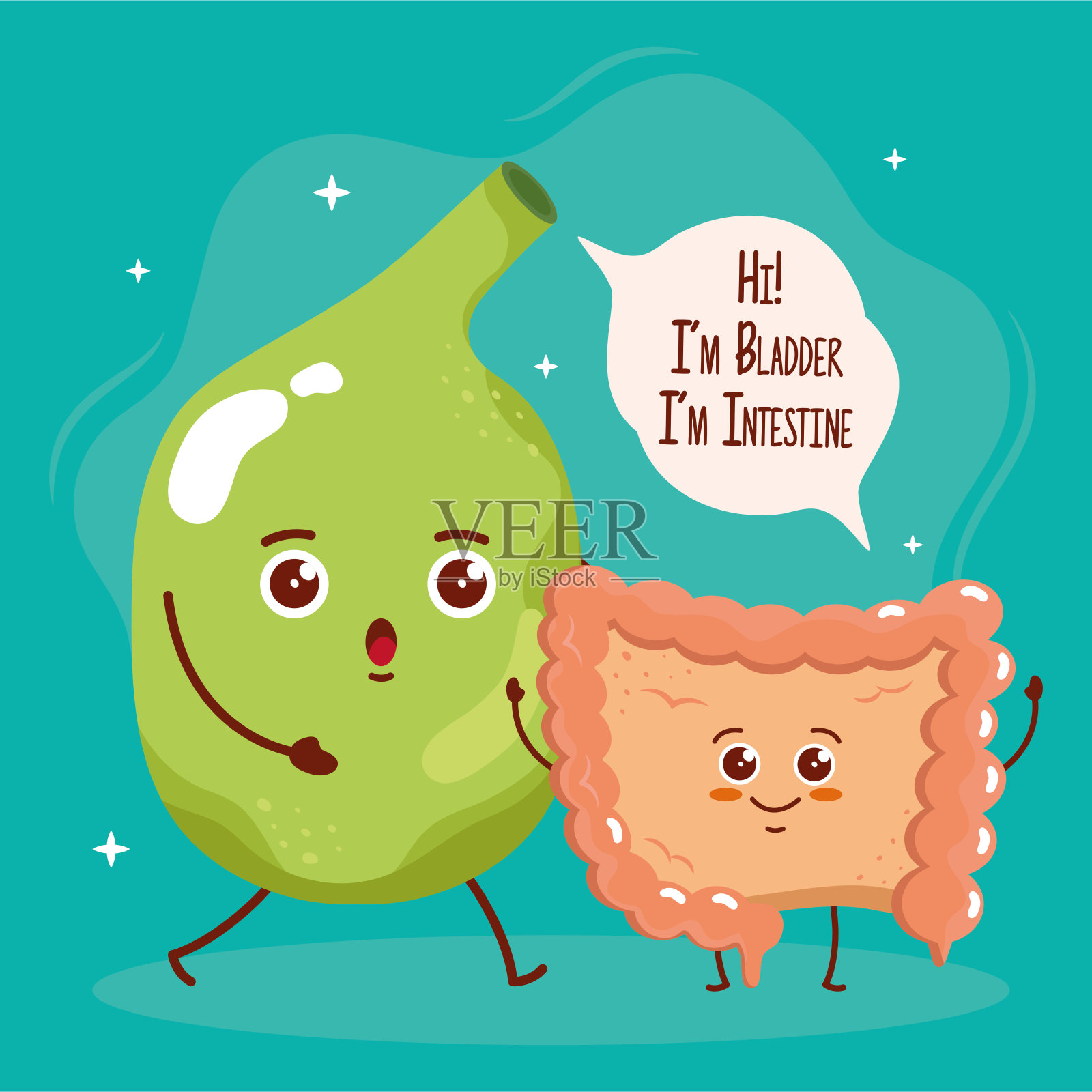 两个可爱的器官插画图片素材