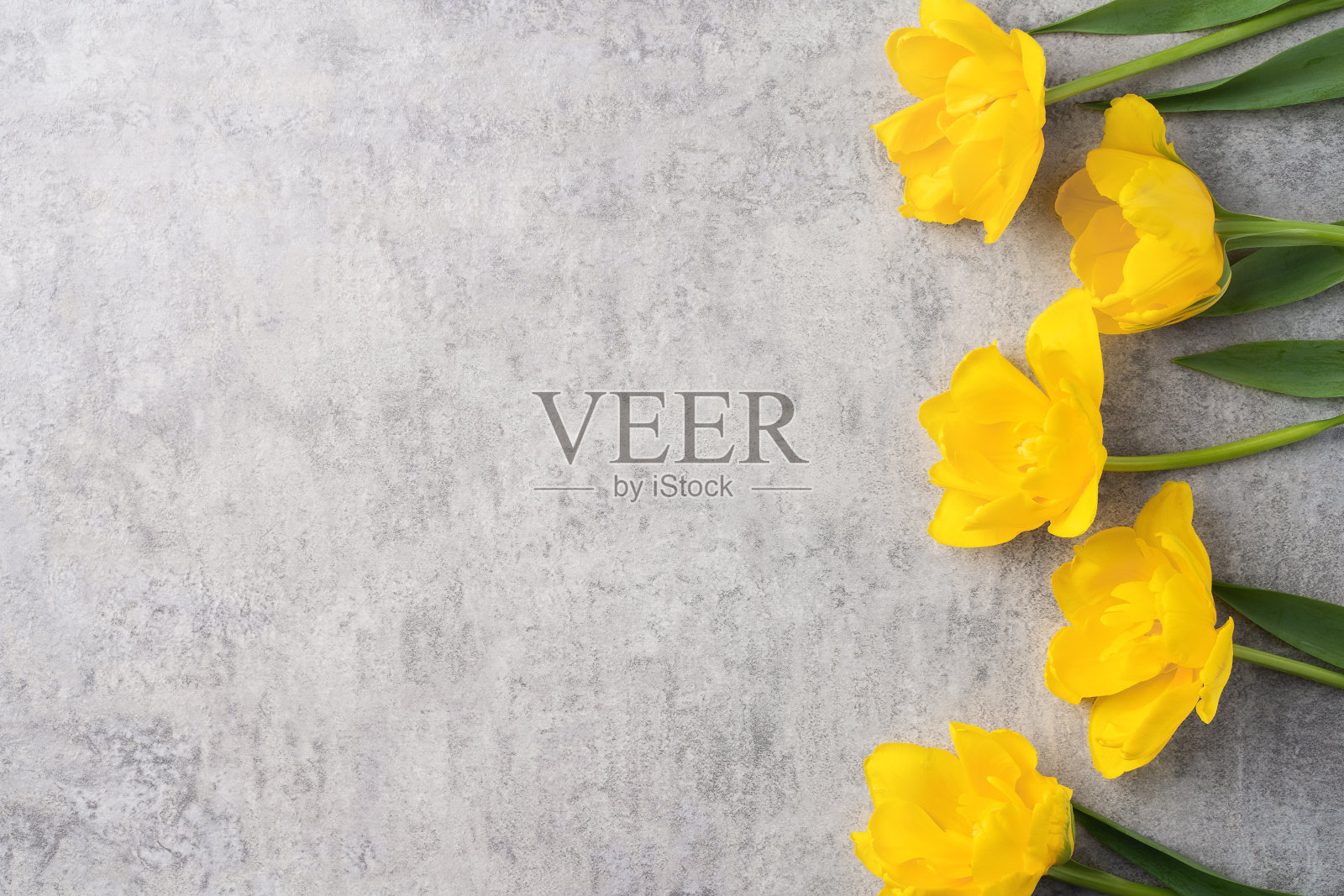 概念母亲节假日问候与黄色郁金香花束在灰色背景照片摄影图片