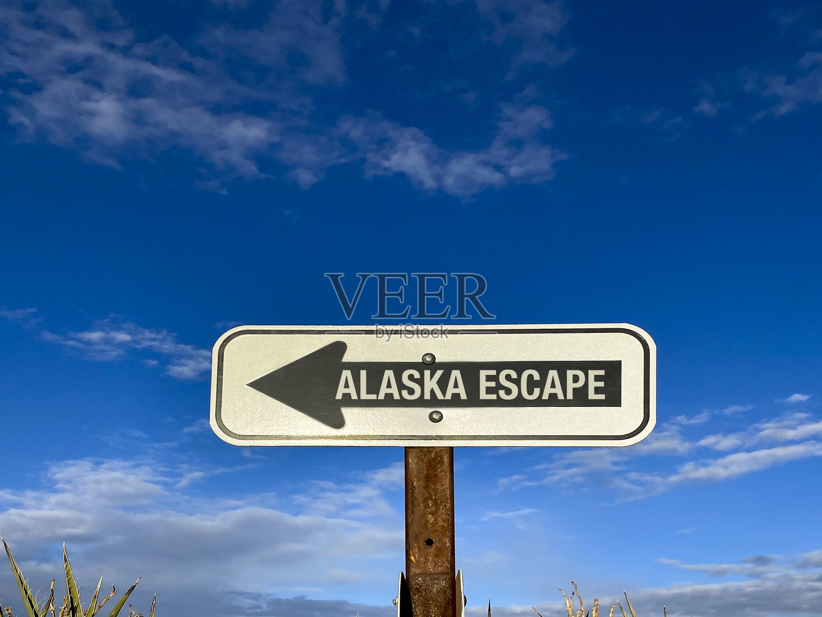 阿拉斯加照片摄影图片