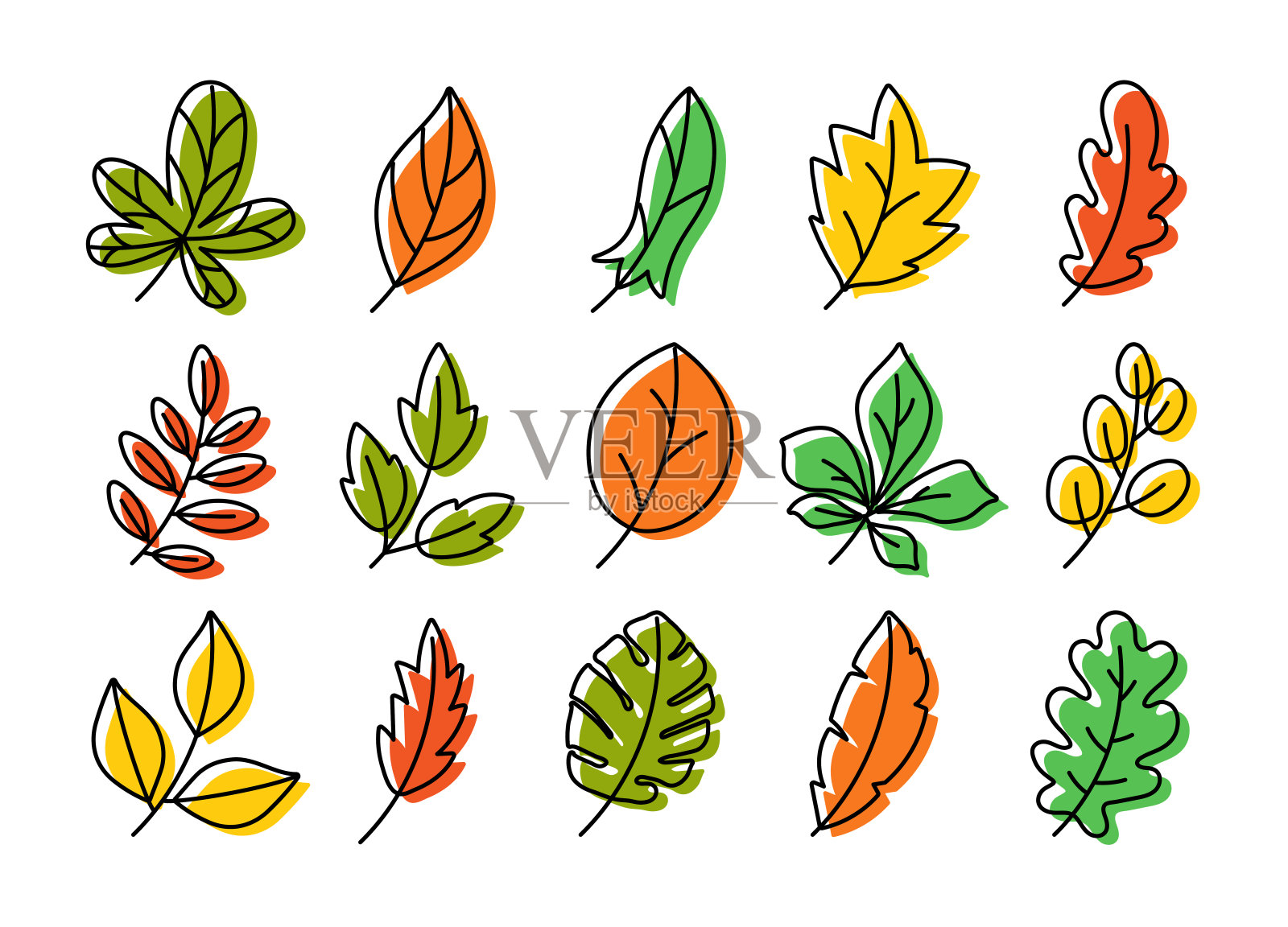 向量的叶子。植物涂鸦插画。手绘草图。颜色奇异的怪物叶设计元素图片