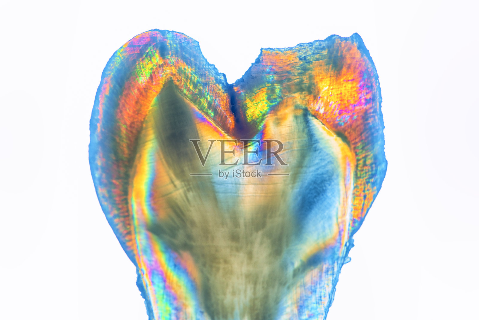 齿片交叉偏光画面，聚焦于齿片边缘照片摄影图片