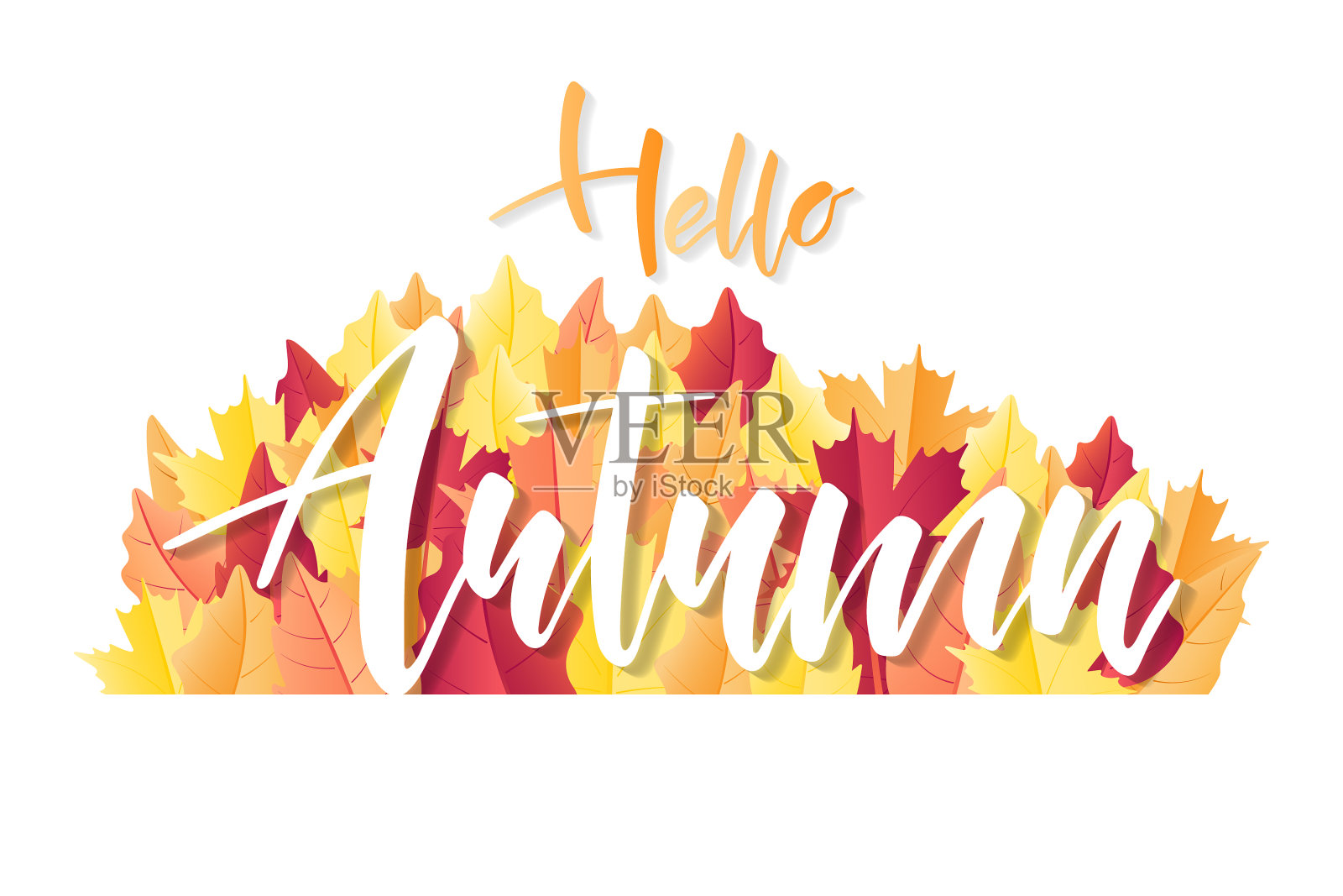 你好秋手写文字贺卡插画图片素材