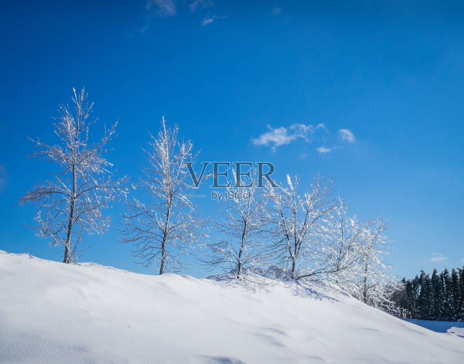 美丽的冰雪景观照片摄影图片