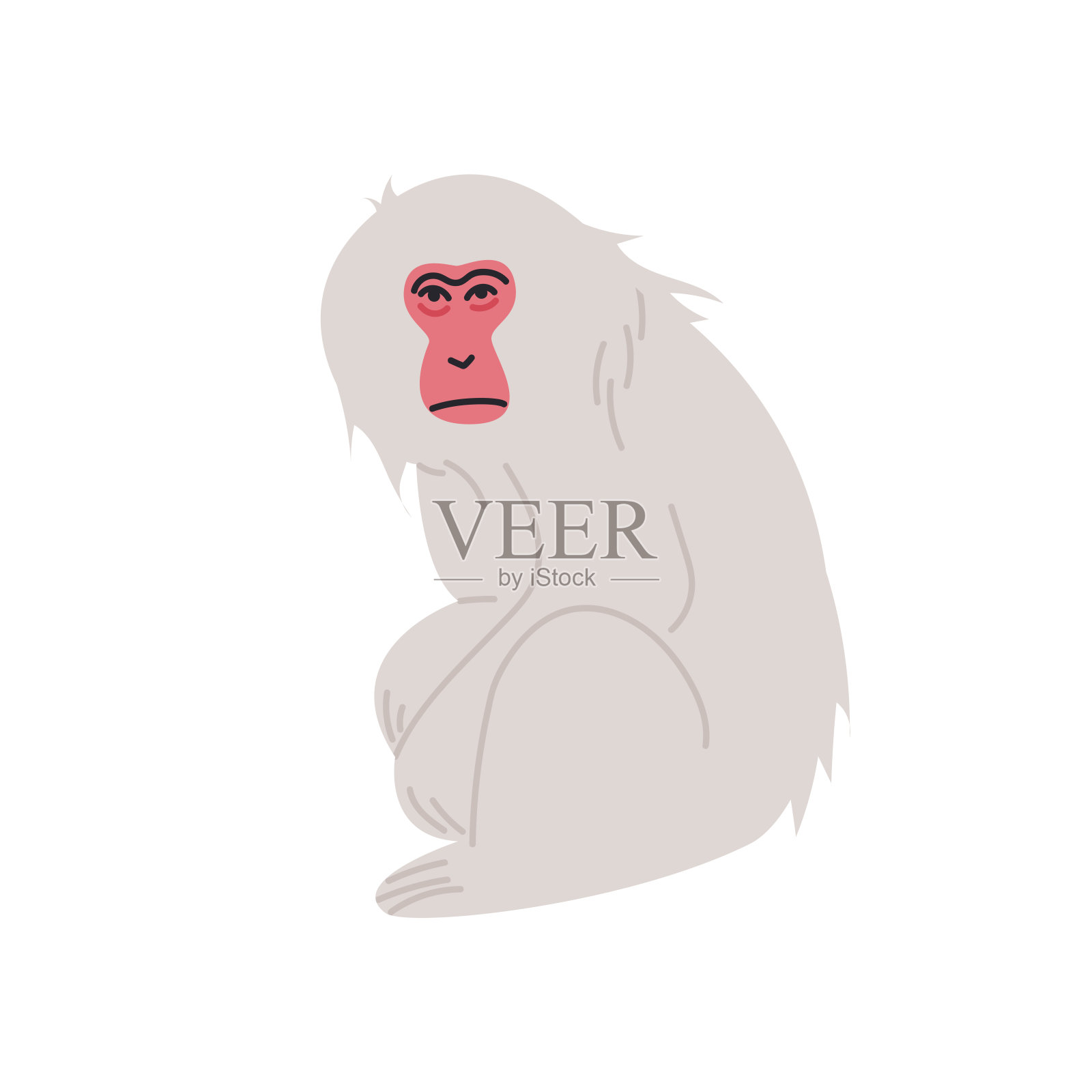 日本猕猴分离病媒插图。插画图片素材