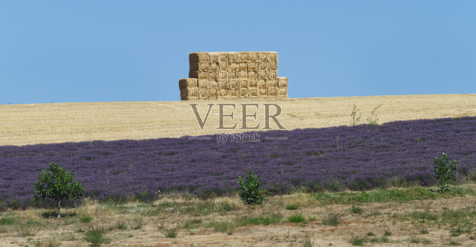 一堆干草照片摄影图片