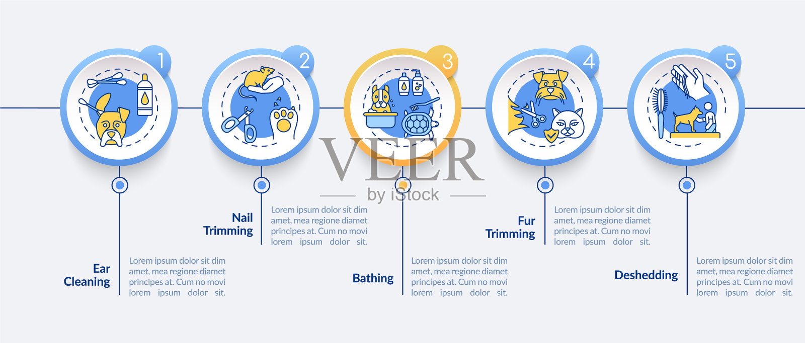 梳理服务类型信息图表模板插画图片素材