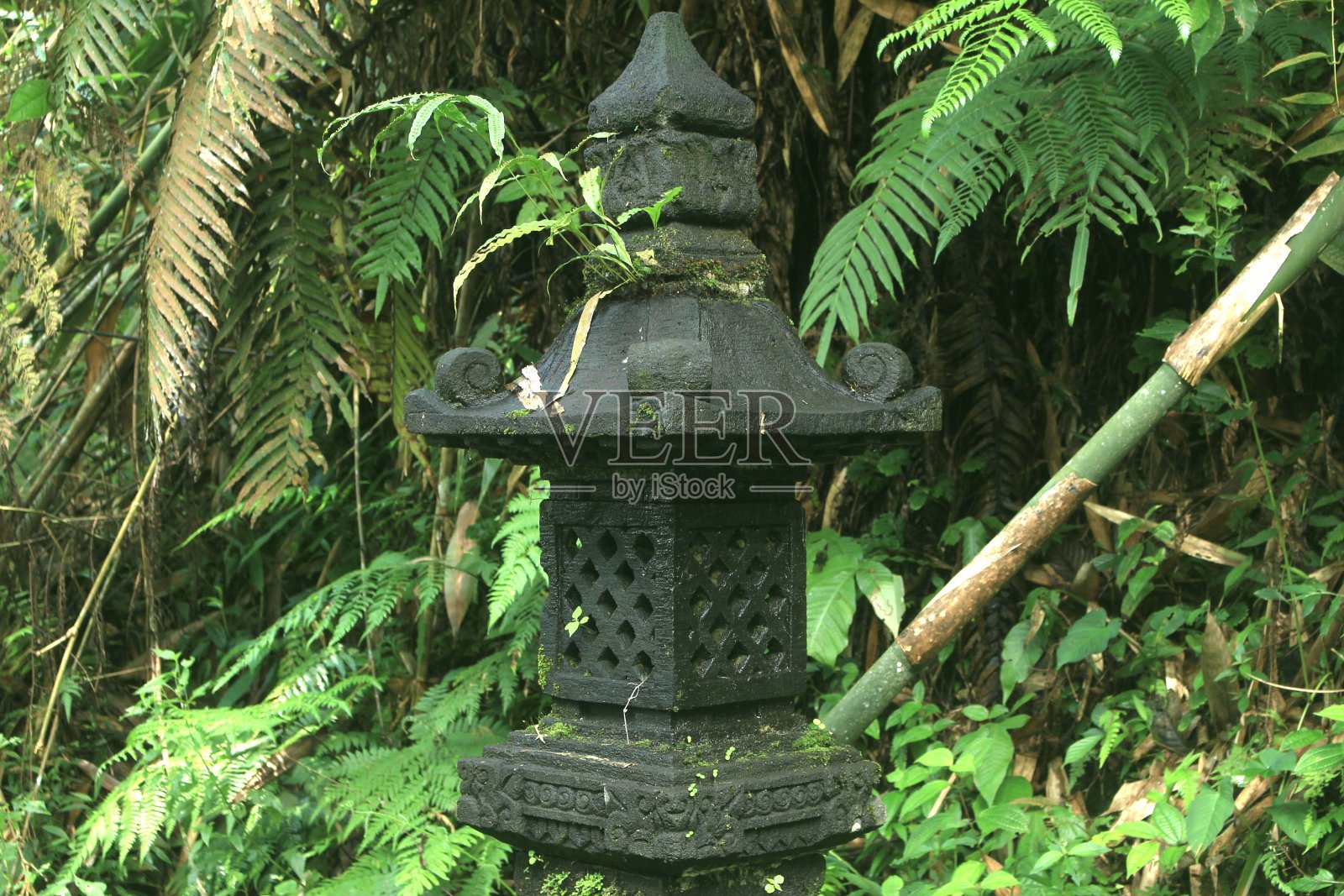 复古复古主题的家居装饰建筑理念照片摄影图片