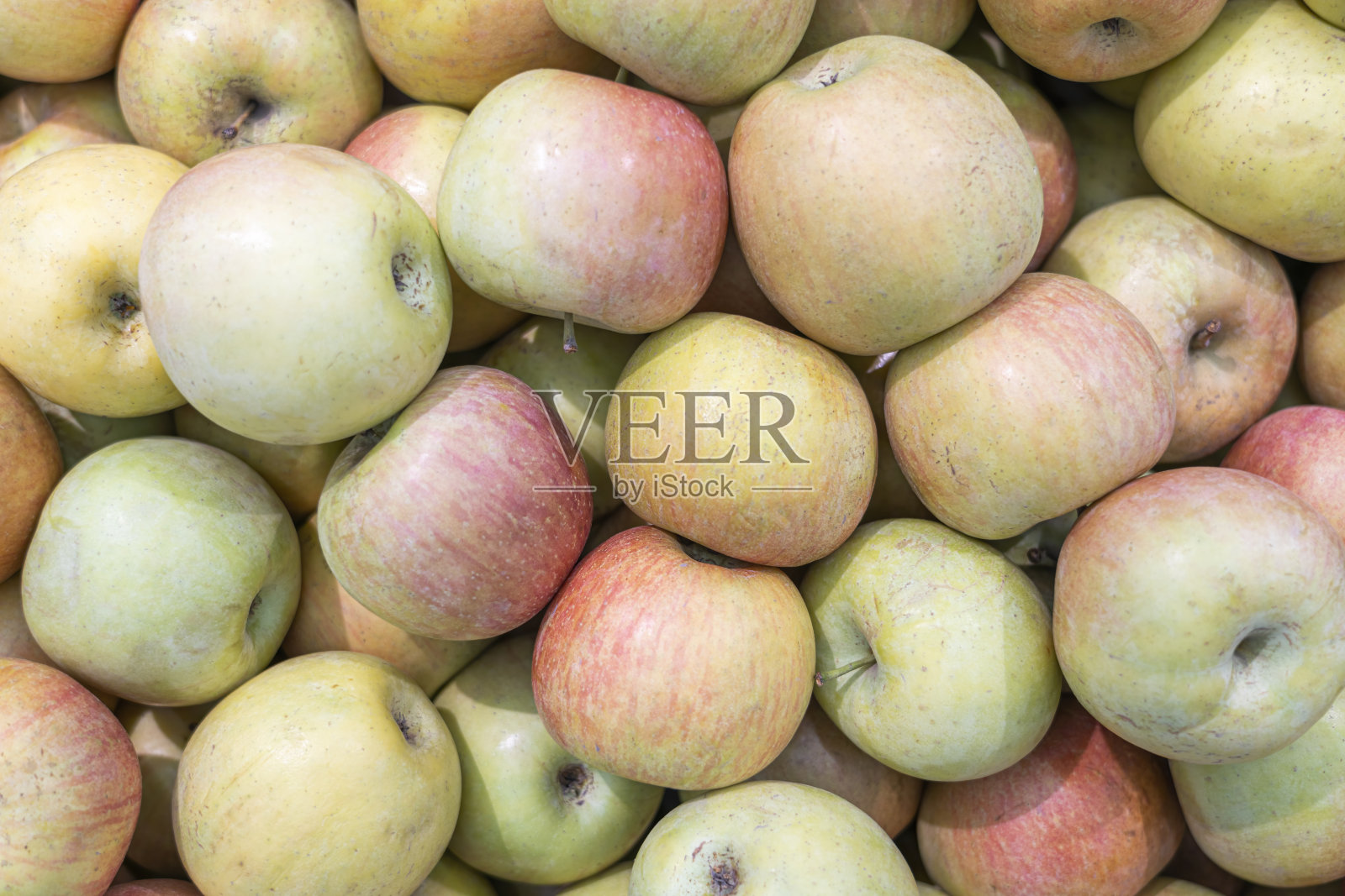 熟透的苹果近距离地摆放在商店的货架上照片摄影图片