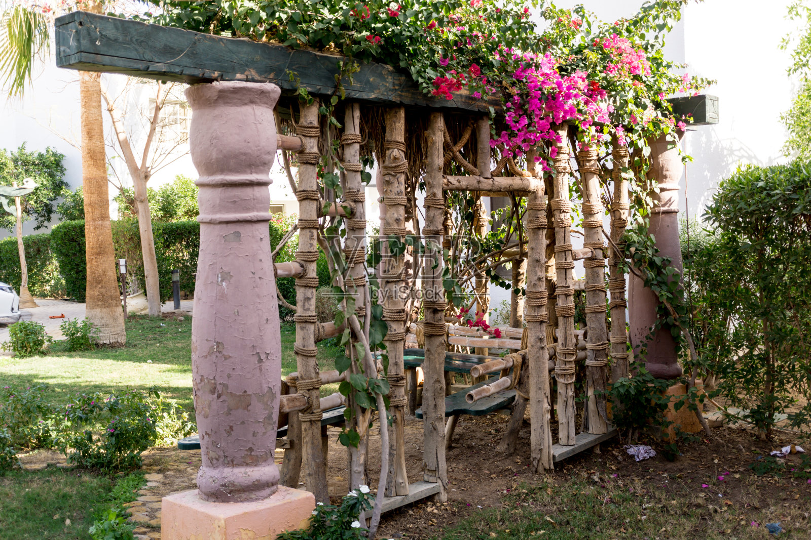 奢华的热带夏季花园景观设计照片摄影图片