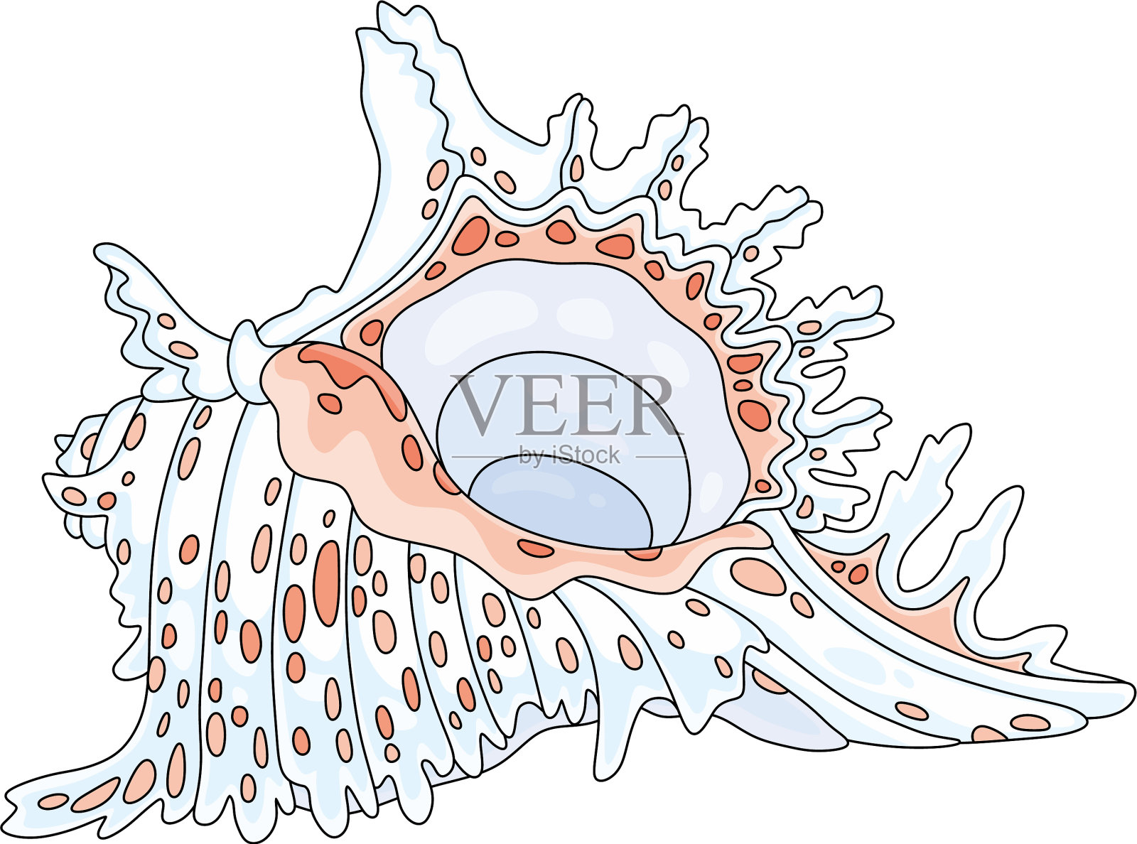 热带珊瑚礁的白色贝壳设计元素图片