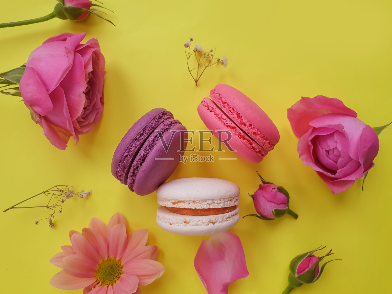 五颜六色的杏仁糖，彩色背景上的玫瑰照片摄影图片