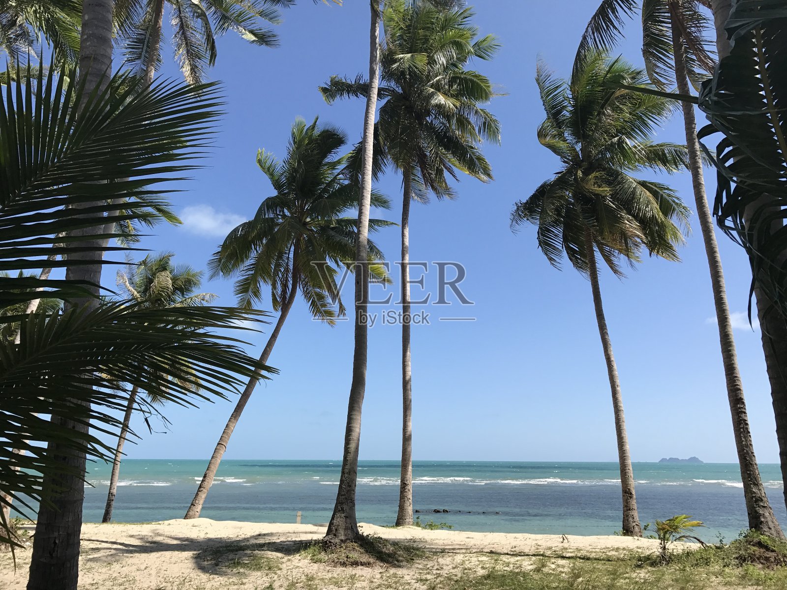 海滨棕榈阳光海滩照片摄影图片