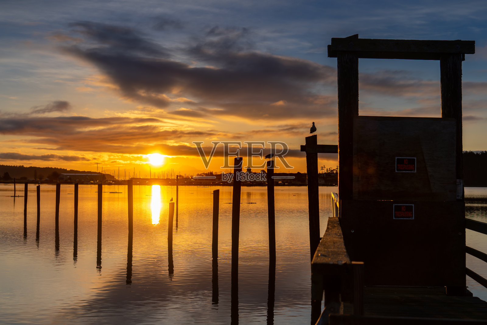 冬季日出黎明从燧石族公园奥克港华盛顿照片摄影图片