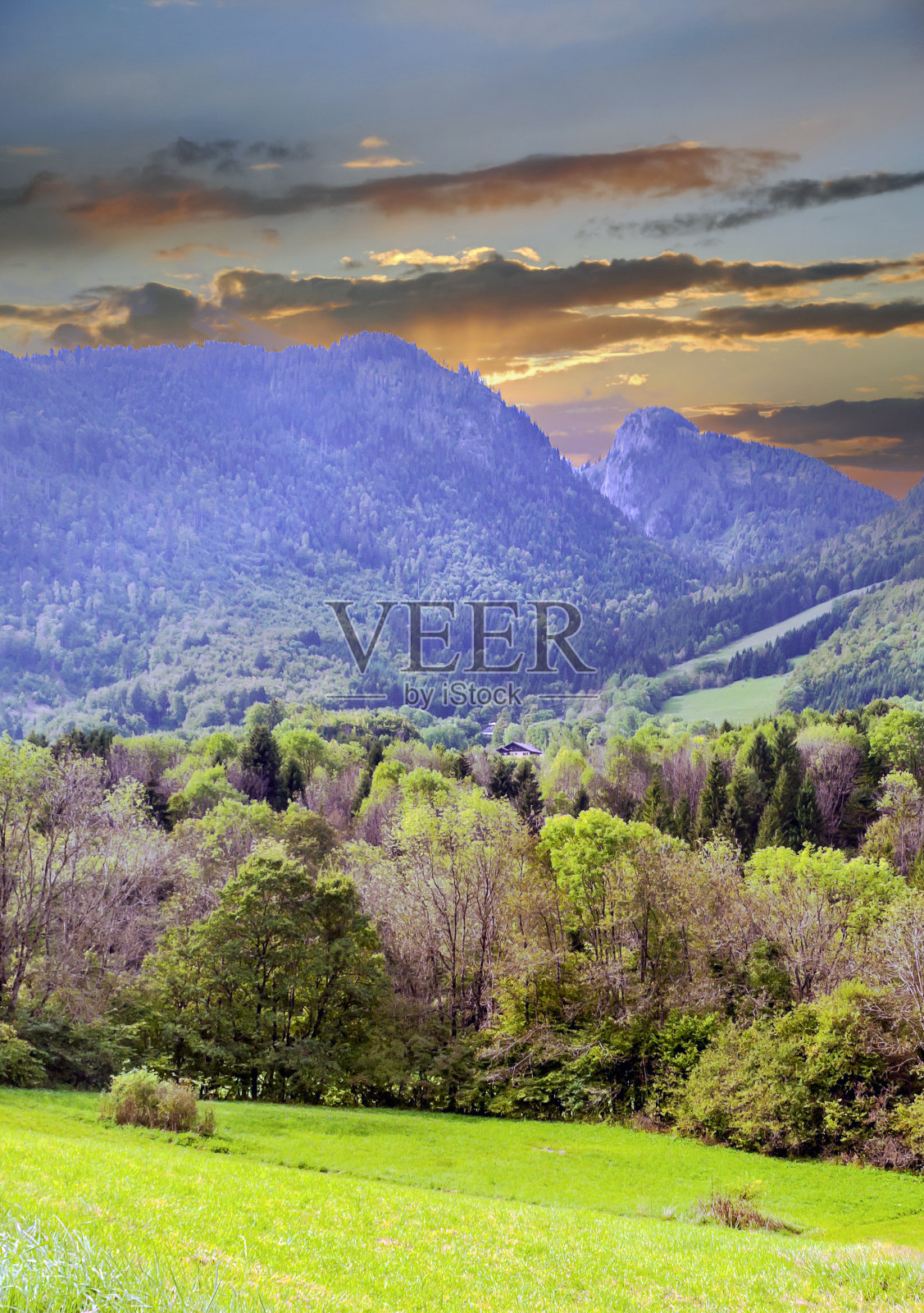 山谷中的草地照片摄影图片