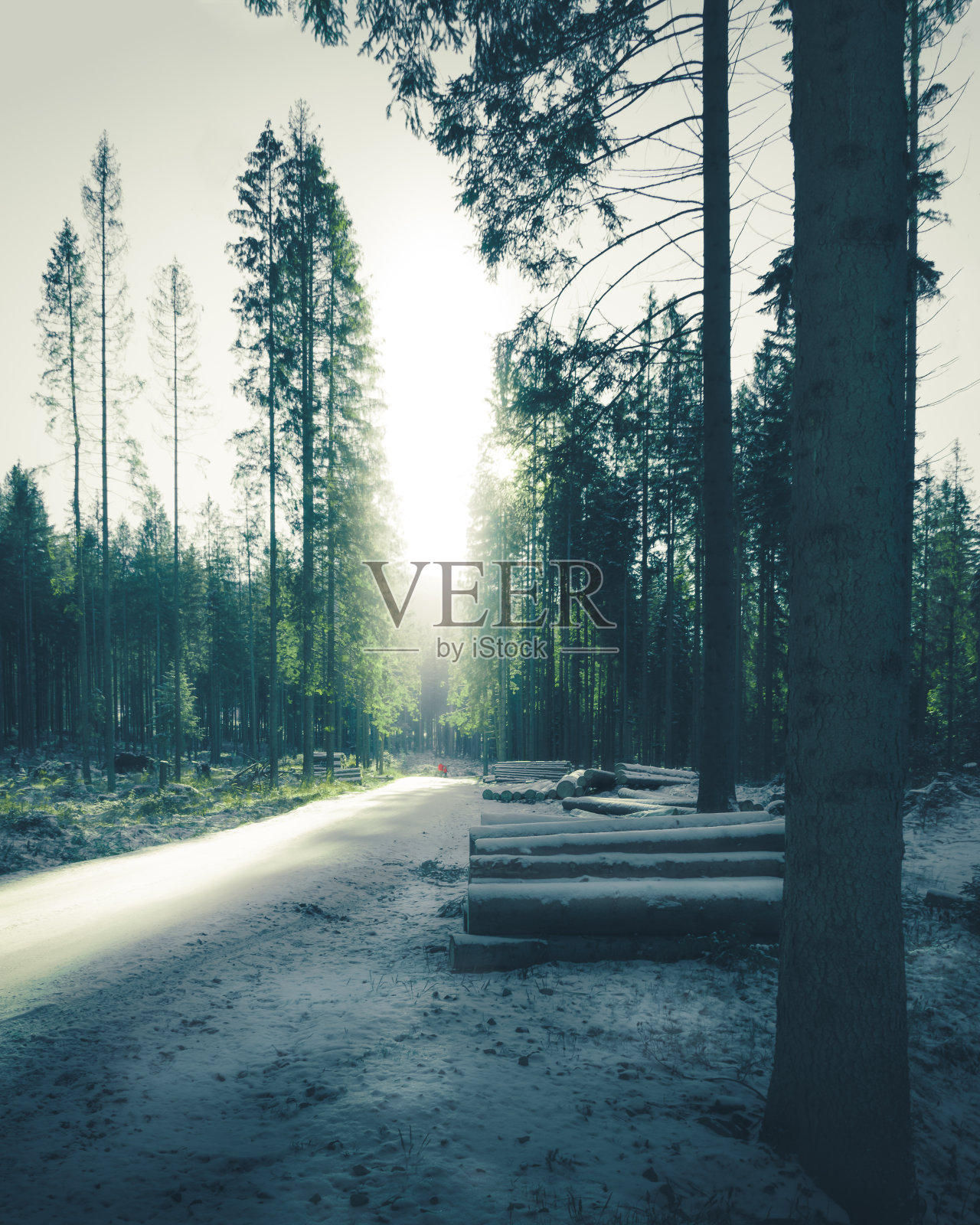 树林里的小路被雪覆盖着，冬天照片摄影图片