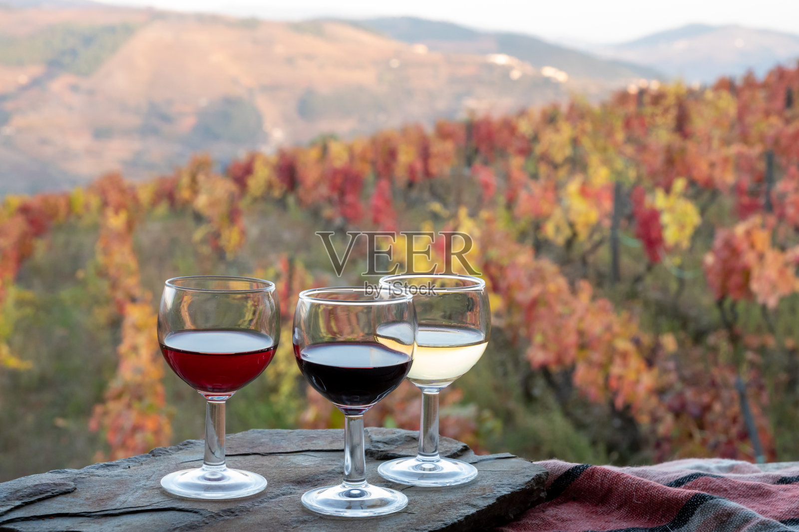 品尝葡萄牙加强波特酒生产在杜罗河山谷与色彩斑斓的梯田葡萄园的背景在秋天，葡萄牙照片摄影图片