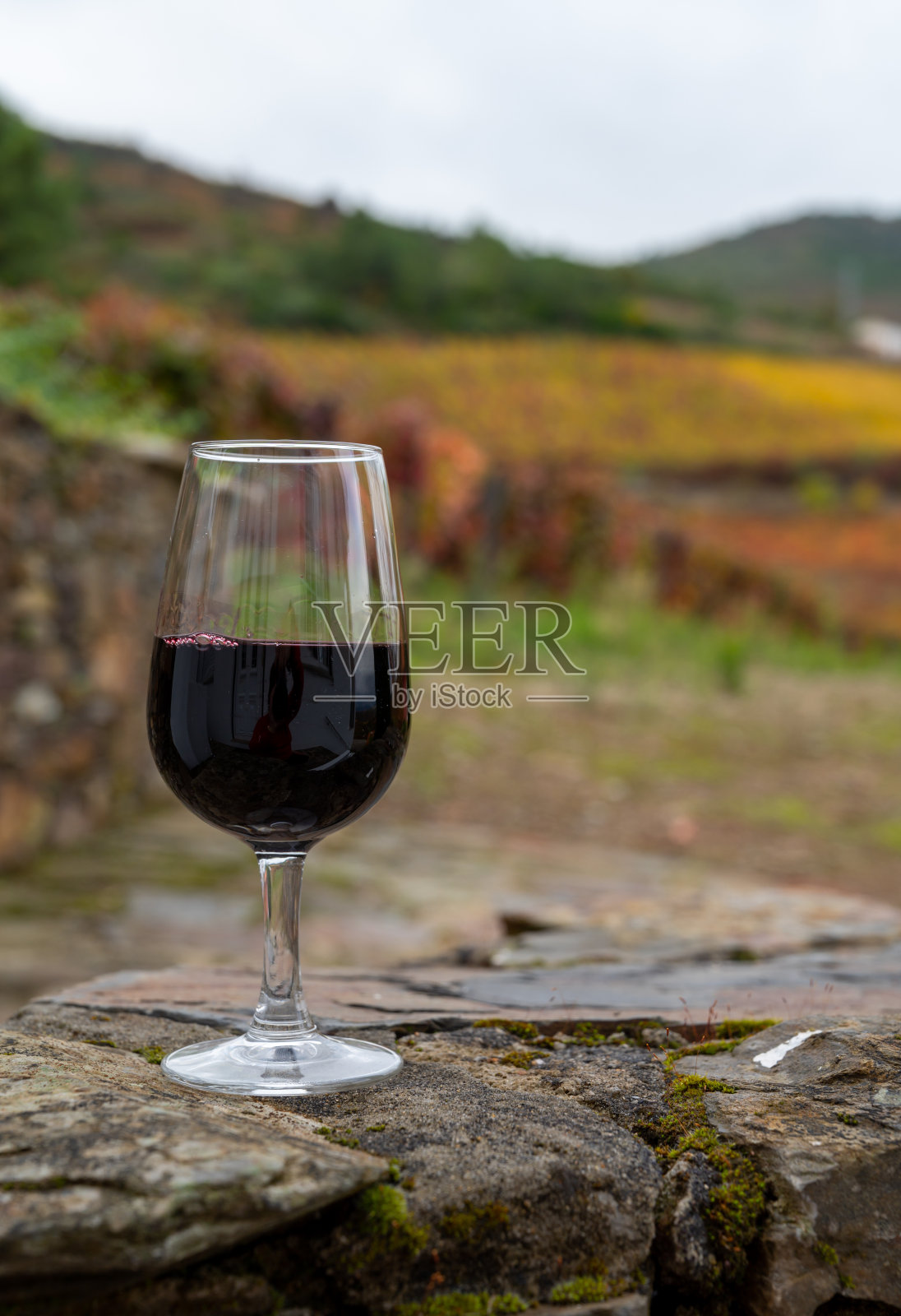 品尝葡萄牙强化波特酒，生产在杜罗河山谷与彩色梯田葡萄园的背景在秋天，葡萄牙照片摄影图片