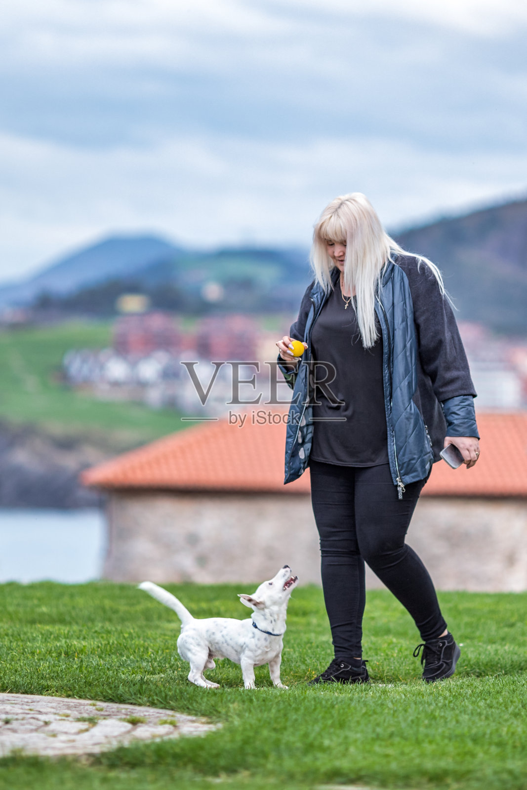 训练狗照片摄影图片