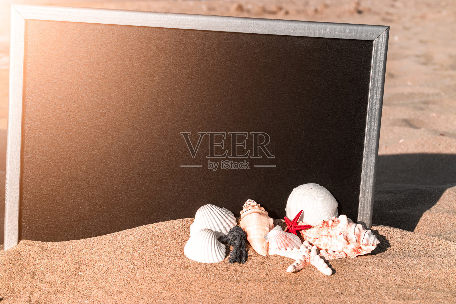 海的背景。在阳光明媚的日子里，海滩上的黑色书桌旁有地球仪、贝壳、飞机和海星。带有复印空间的异国情调热带海滩。照片摄影图片