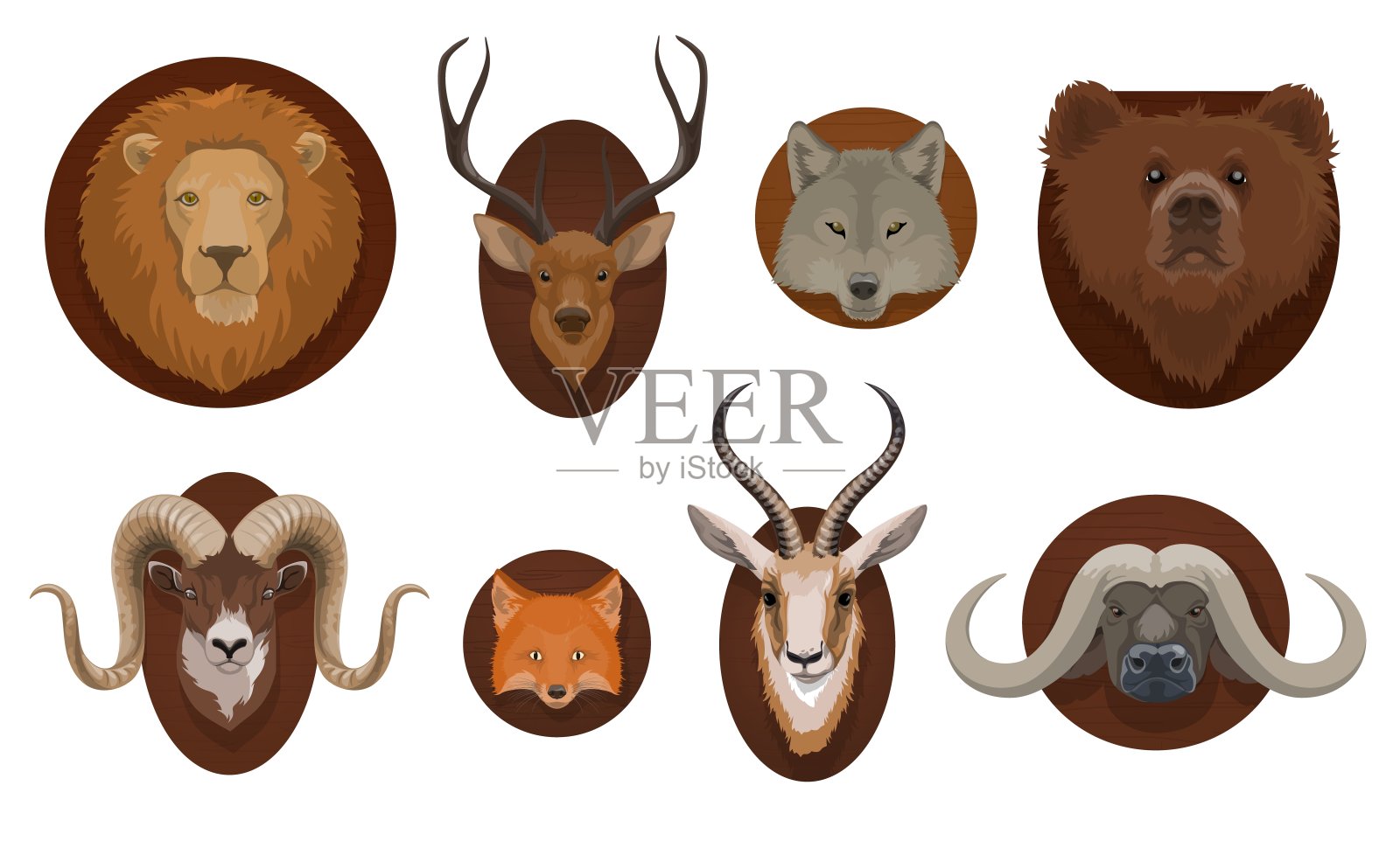 狩猎战利品，野生动物头部装上向量插画图片素材