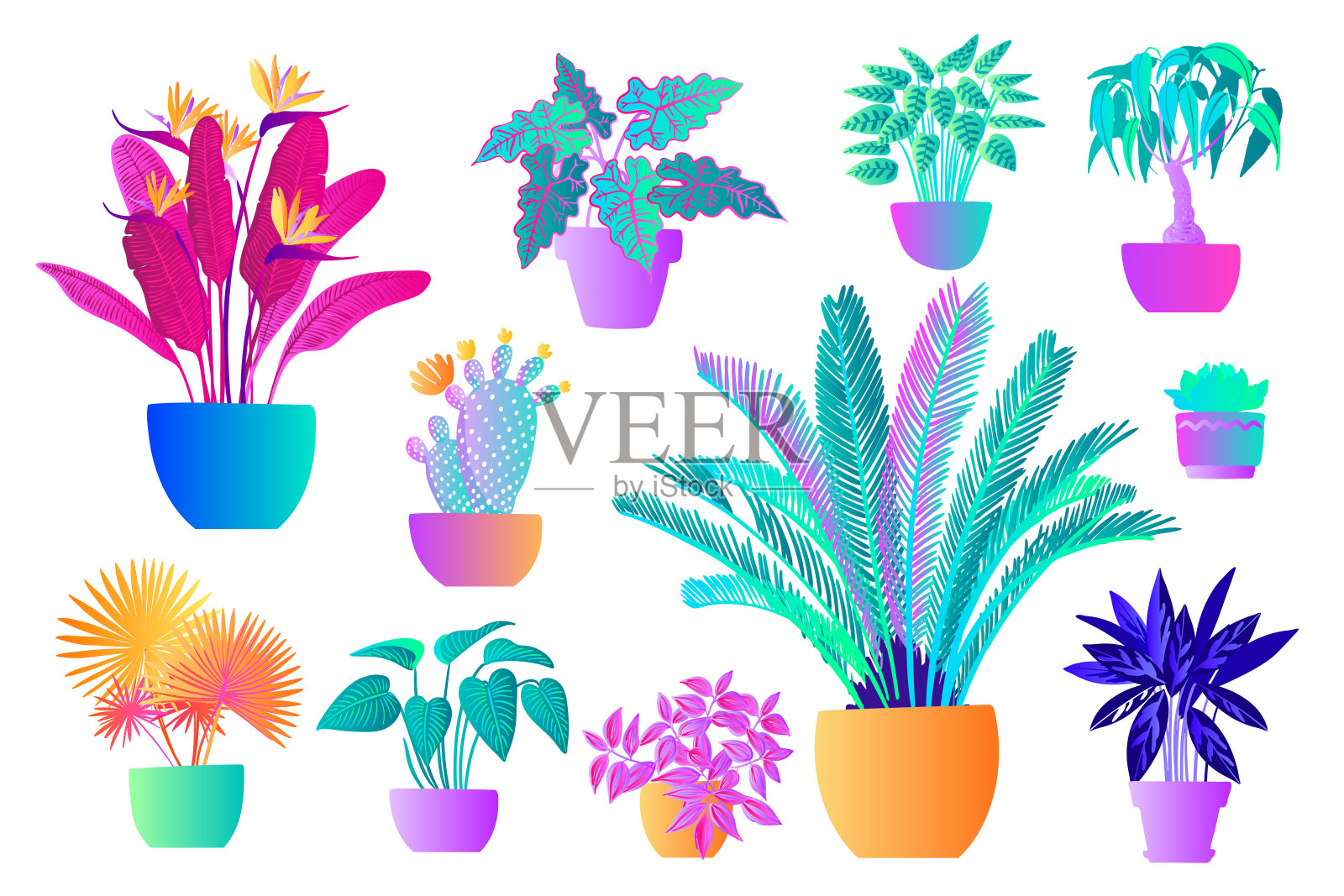 霓虹灯热带植物和盆花。矢量彩色草图上的白色背景。紫外光粉色，蓝色，绿松石色。插画图片素材