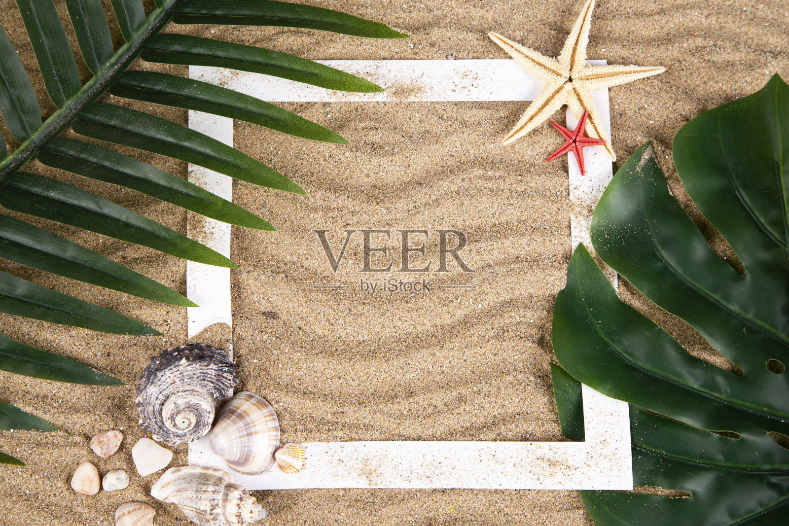 夏天的概念照片摄影图片