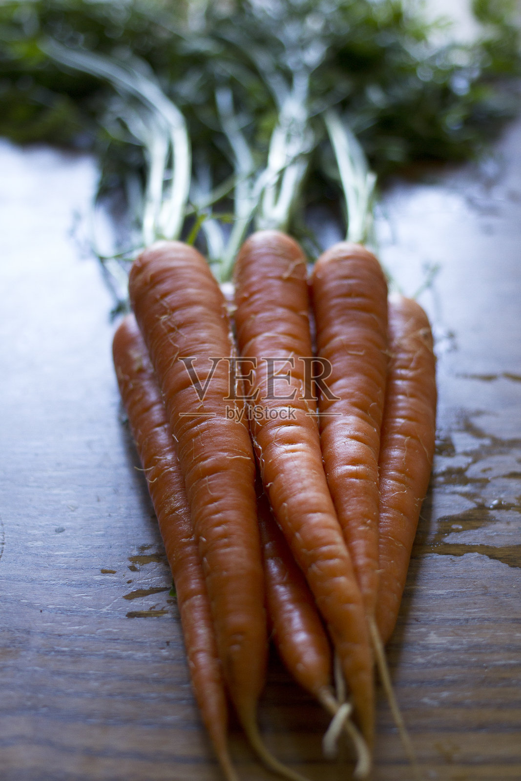 新鲜采摘的自家有机胡萝卜照片摄影图片