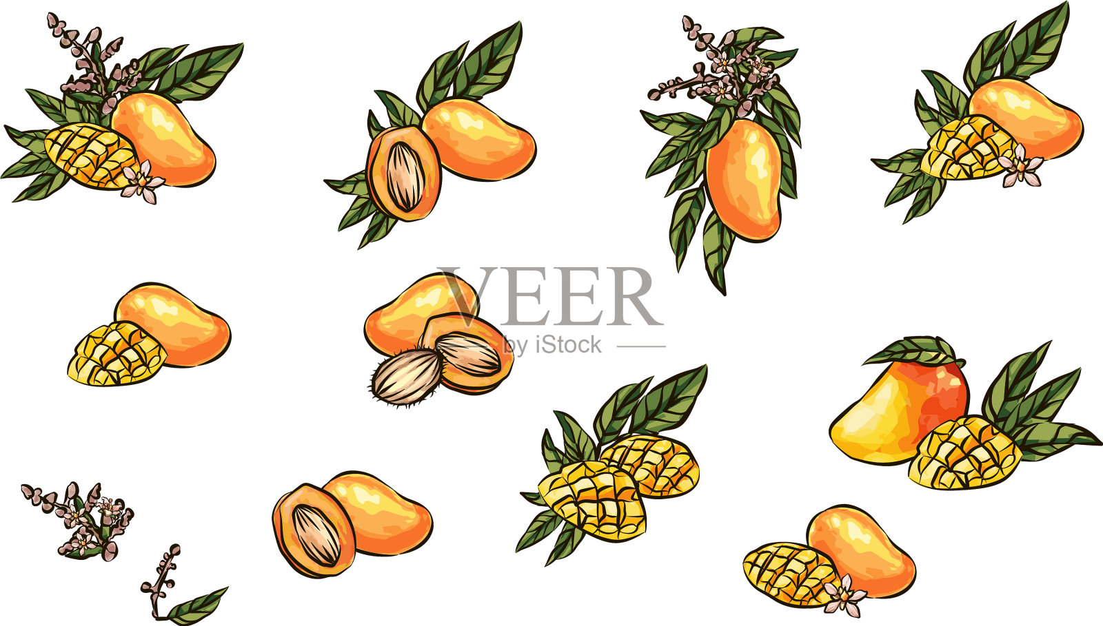 芒果水果素描风格手绘海报插画图片素材