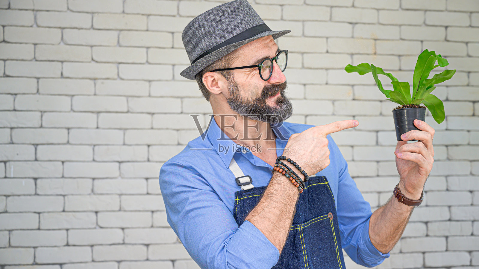 放松爱好生活方式的白人男性，穿着围裙，并展示了一个树盆在房间与砖墙的背景在家里。照片摄影图片