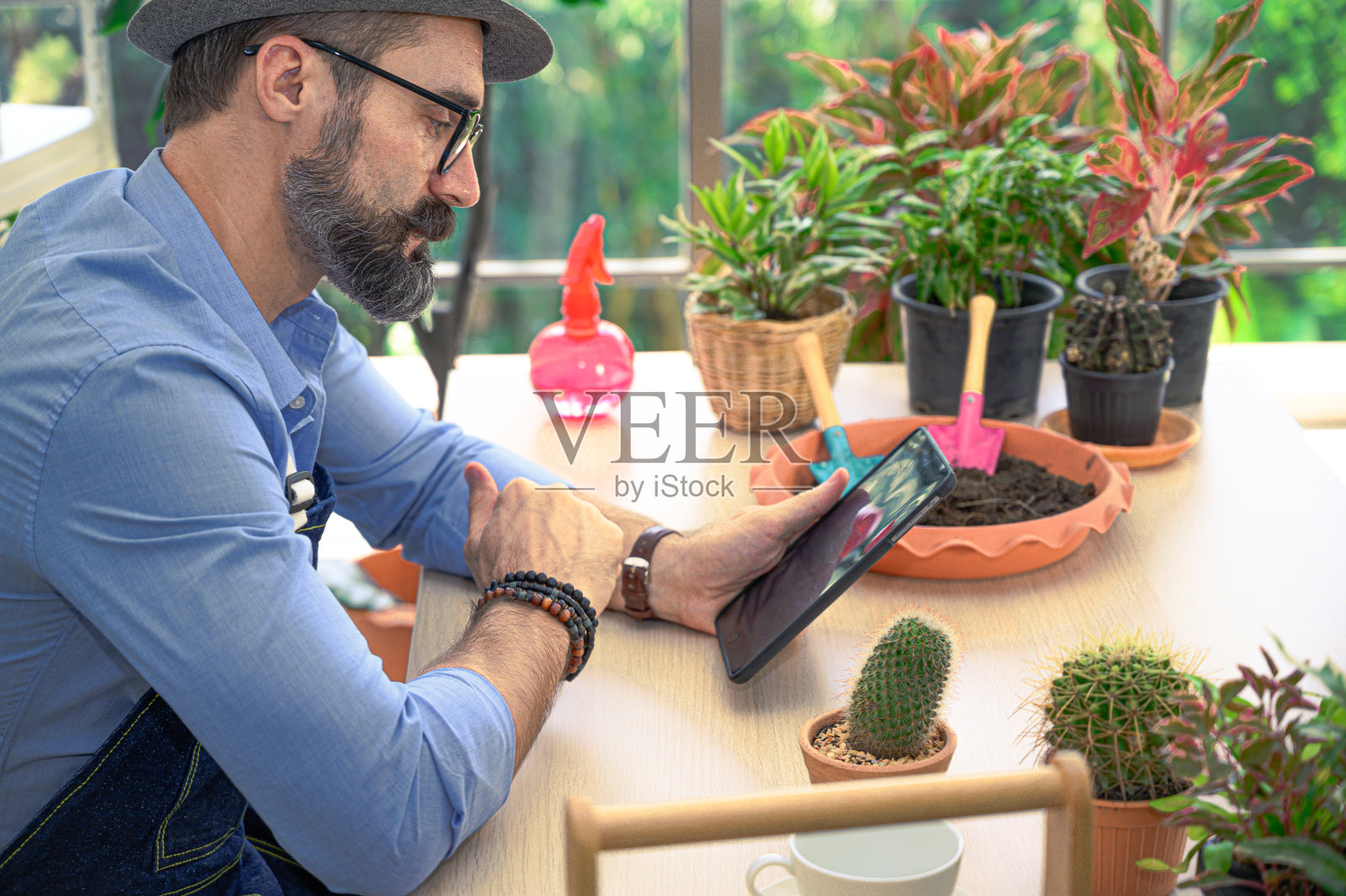 放松爱好生活方式的白人男性穿着围裙拿着平板电脑在室内花园房间在家视频通话。照片摄影图片