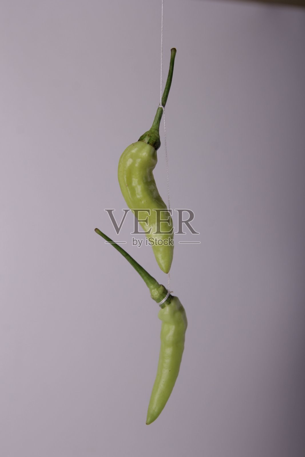 青椒漂浮在白色的背景上照片摄影图片