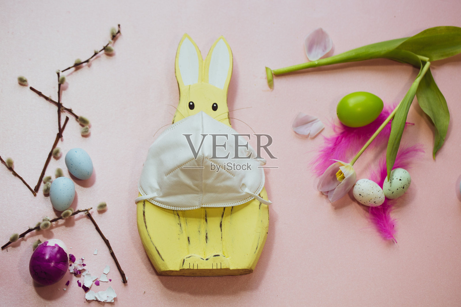 科罗娜时代的复活节兔子照片摄影图片