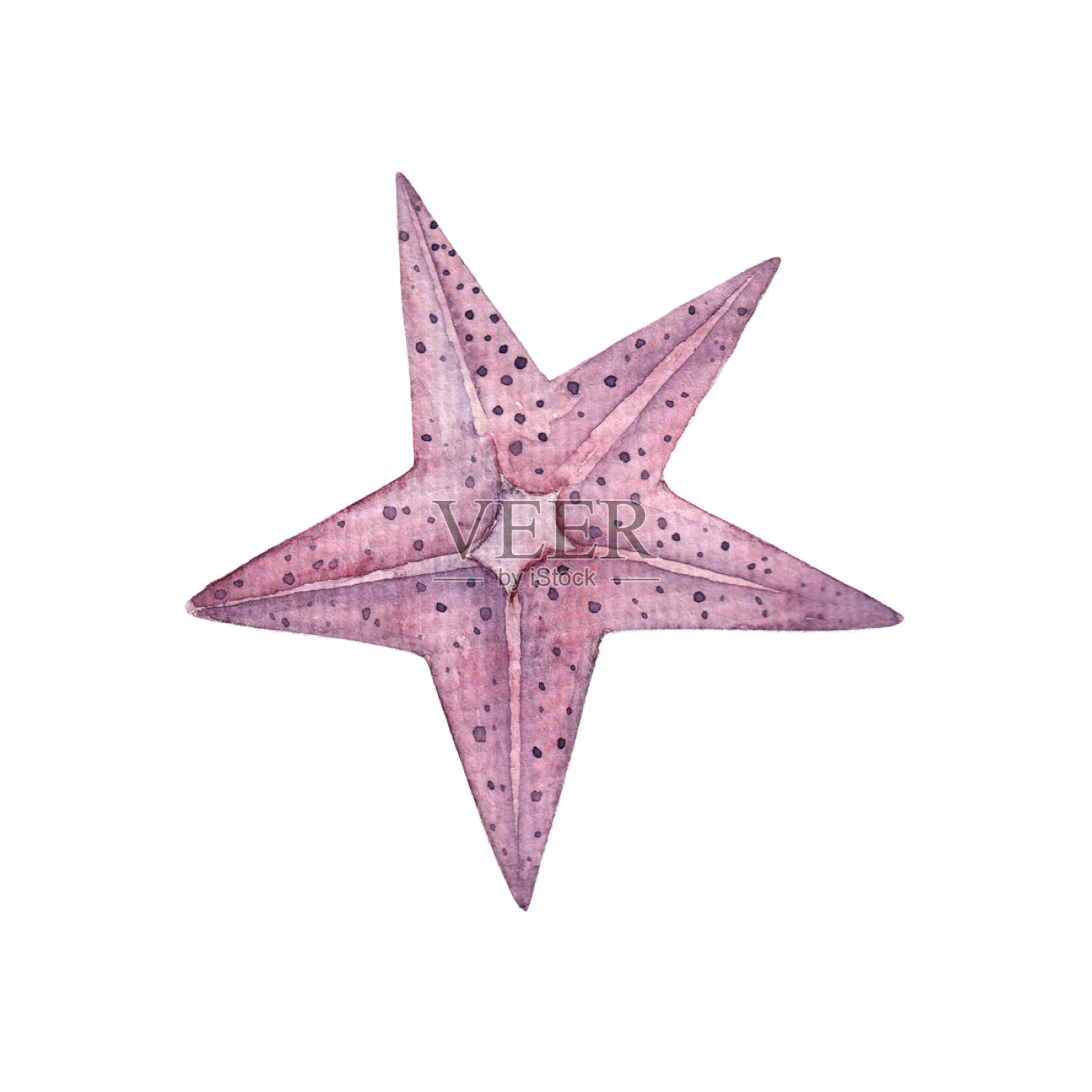 水彩手绘海星孤立的白色背景。海洋居民。海滩。水下动物。设计元素图片