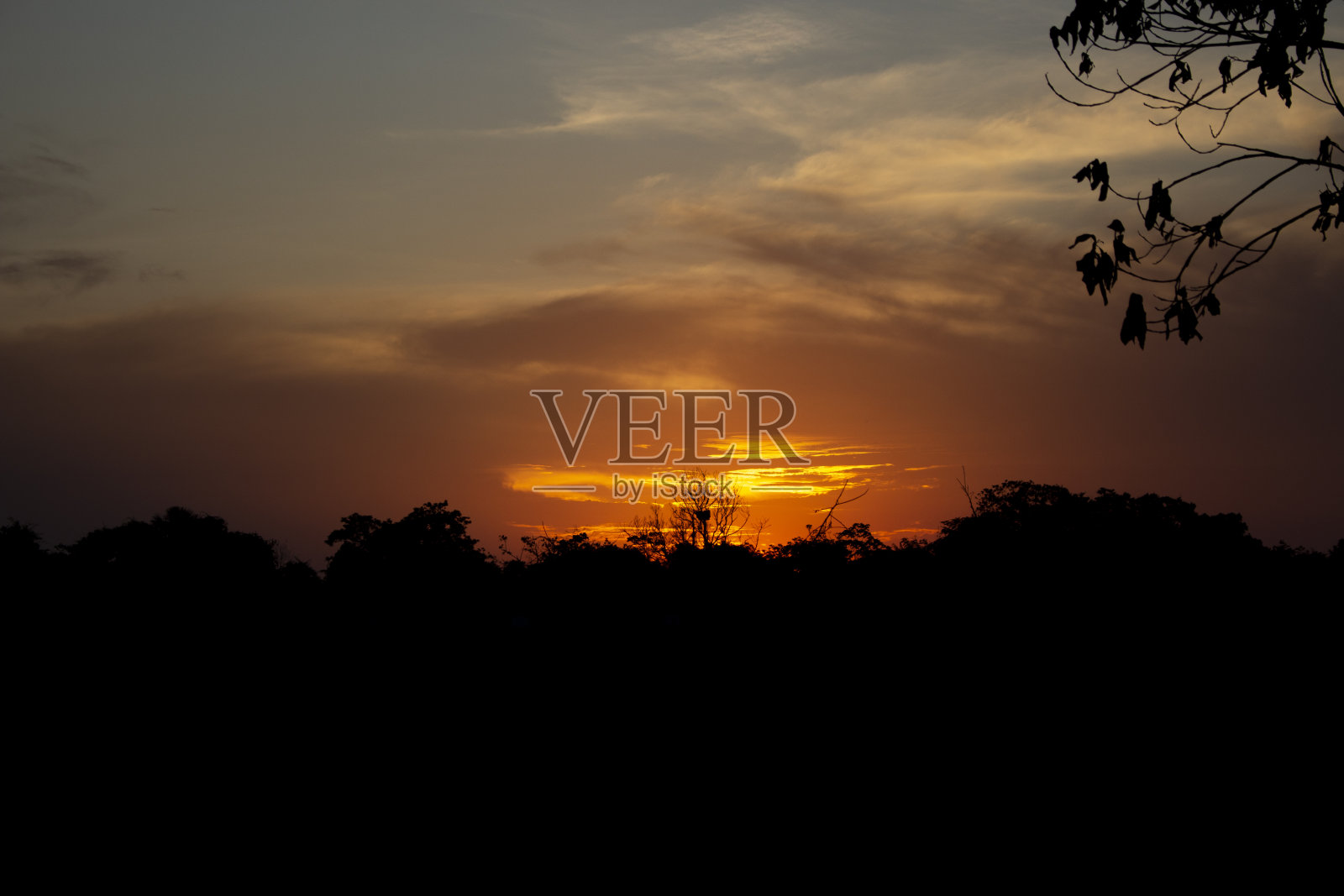 跟踪照片摄影图片