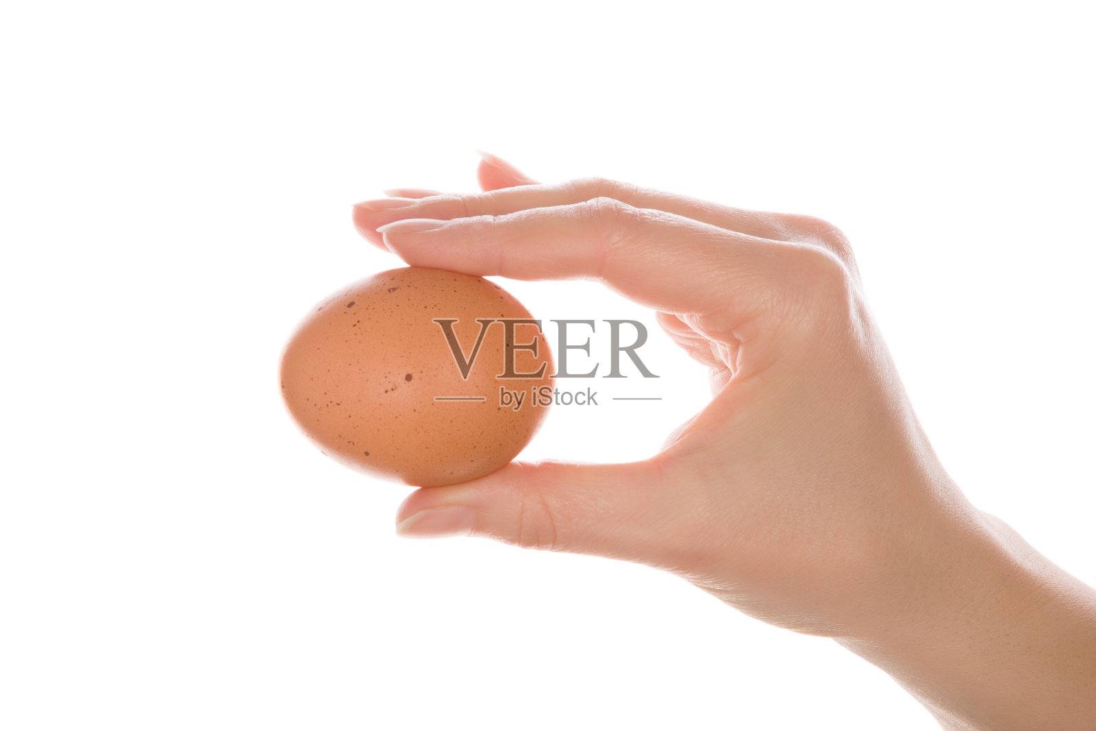 雌性抱着一个蛋。照片摄影图片