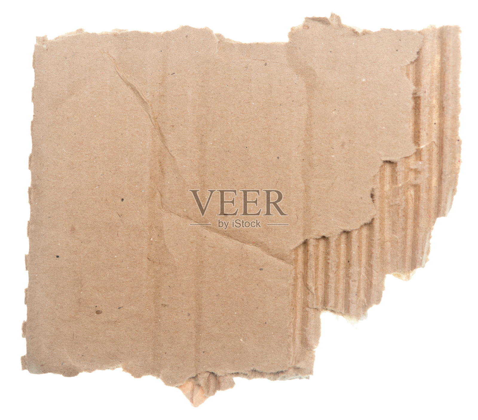 纸板上的白色照片摄影图片