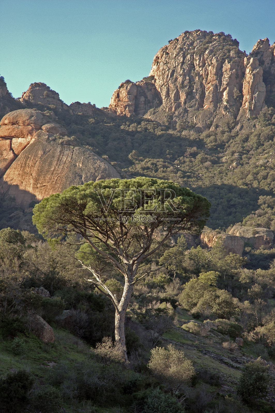 阿松照片摄影图片