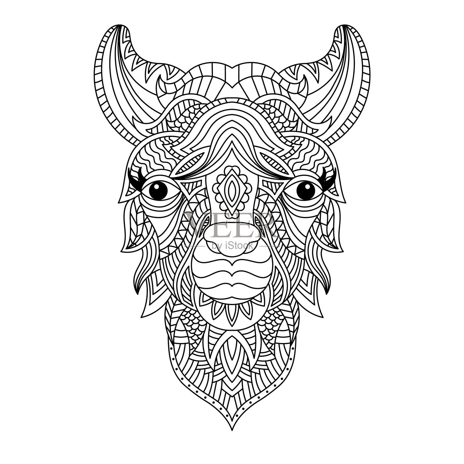 羊驼头着色书插画图片素材