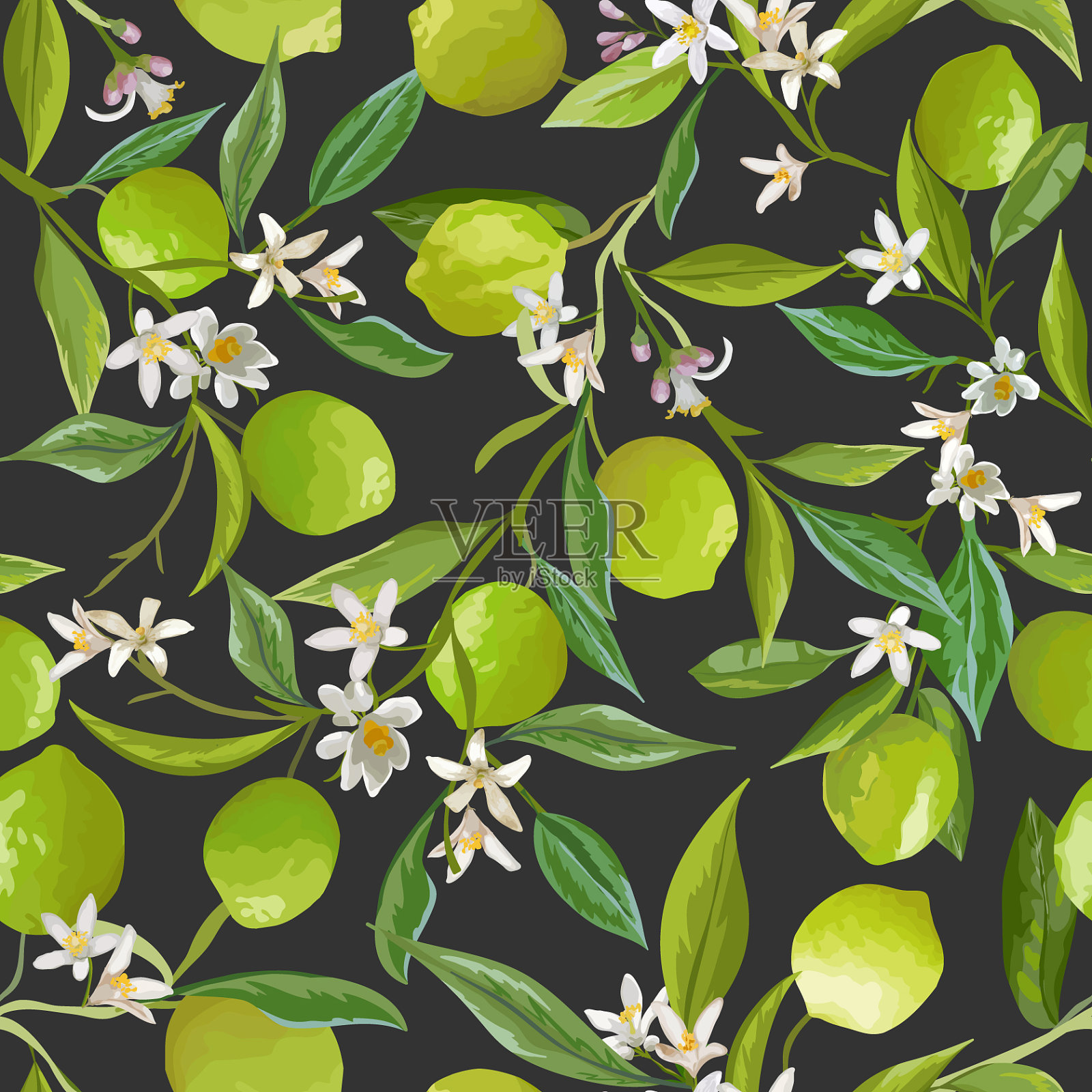 水果酸橙花无缝图案柑橘插画图片素材