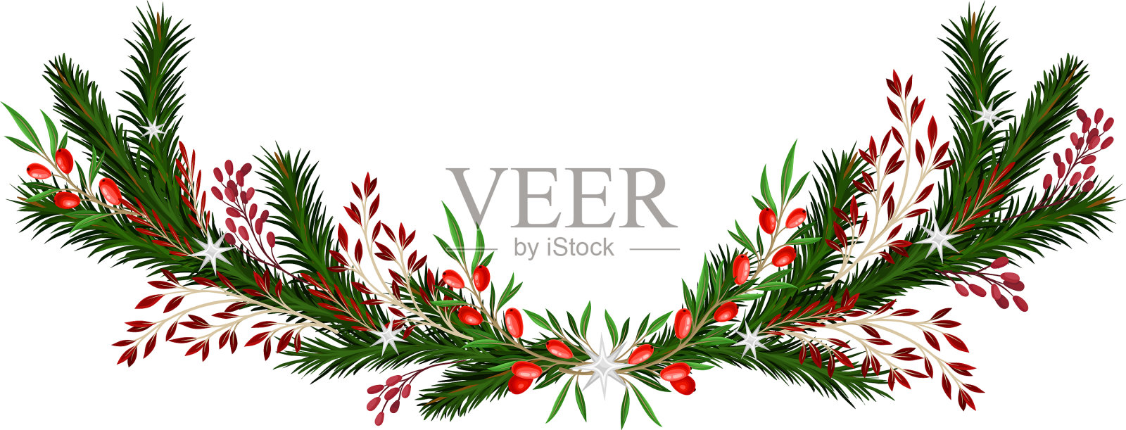 明亮的针叶树枝和小檗插画图片素材