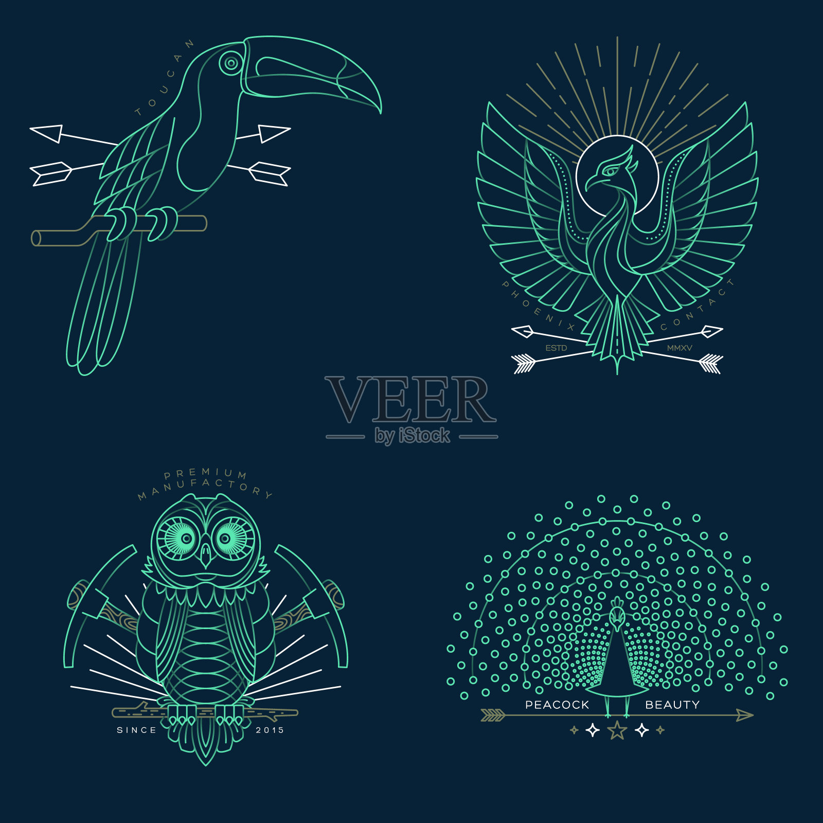 抽象鸟类插图插画图片素材