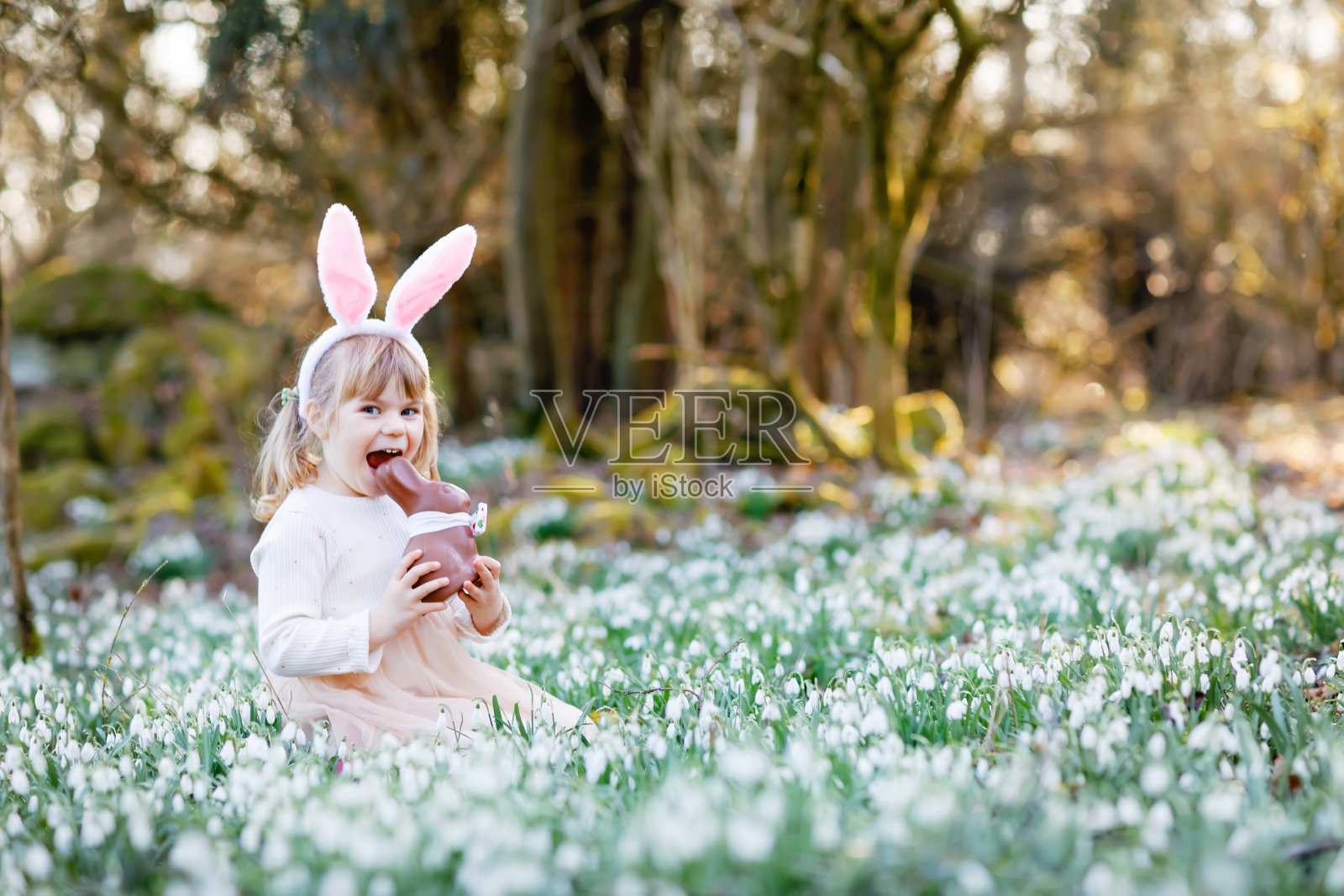 可爱的小女孩与复活节兔子耳朵吃巧克力图在春天的森林在阳光明媚的一天，户外。可爱快乐的孩子有很多雪花莲花。春天，基督教节日的概念。照片摄影图片