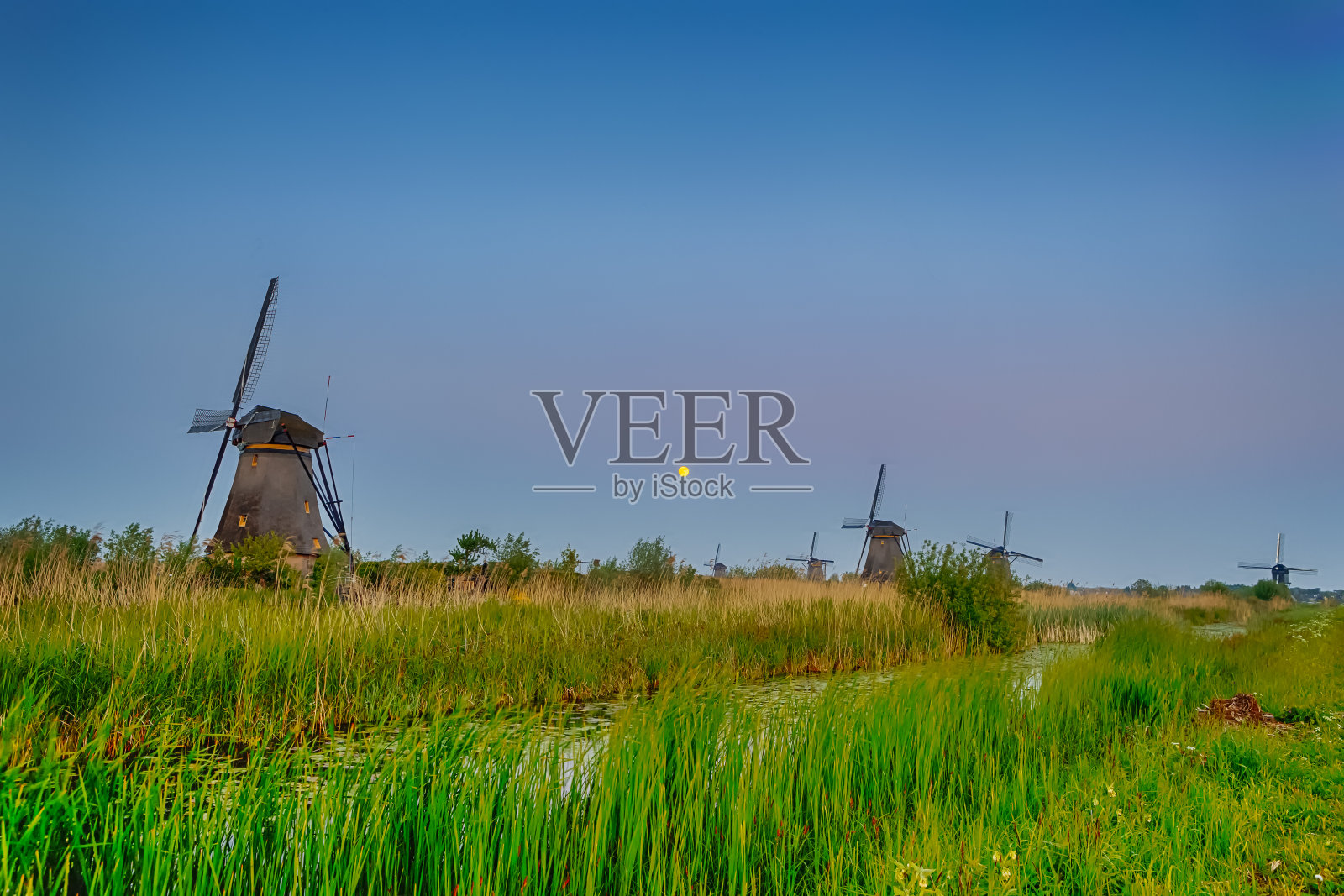 荷兰旅游目的地的概念。蓝色时光，荷兰肯德迪克村的荷兰传统浪漫风车。水平的形象照片摄影图片