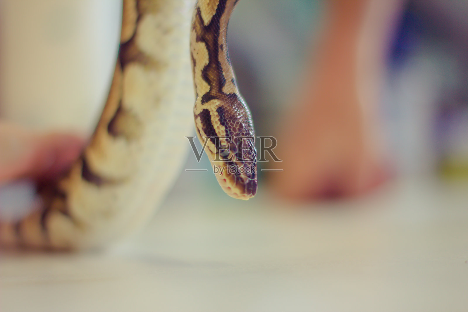 Python关闭照片摄影图片