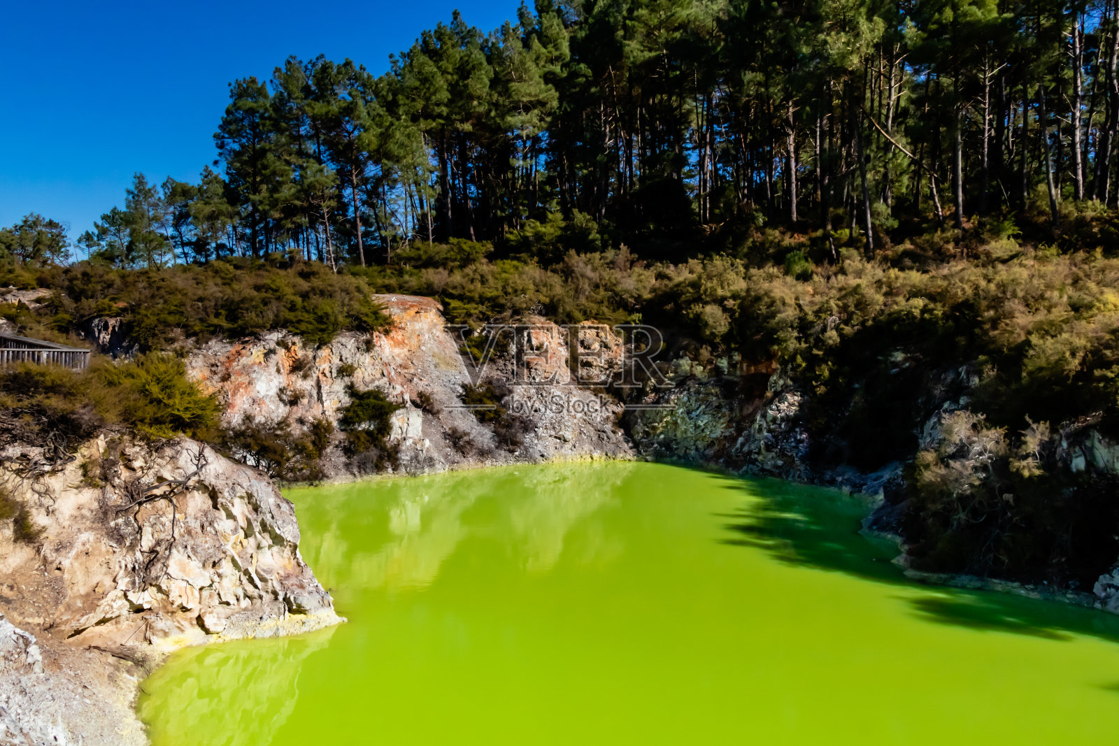 新西兰罗塔鲁瓦岛怀奥塔布温泉池及区域照片摄影图片