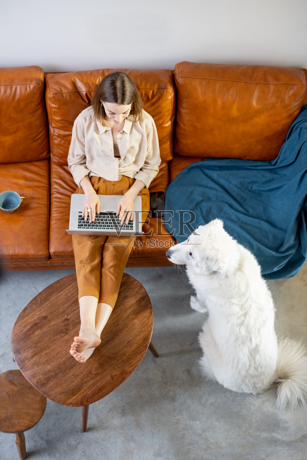 一个女人和一只狗坐在家里的沙发上。照片摄影图片
