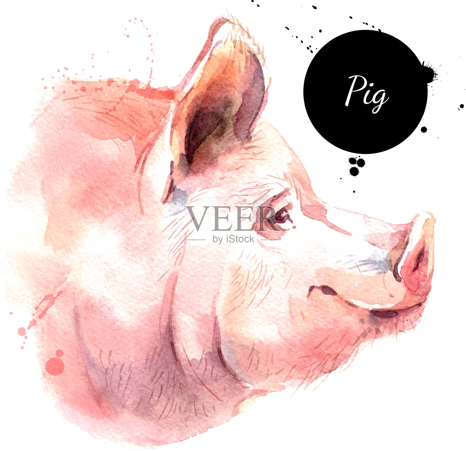 水彩手绘猪头画素描设计元素图片
