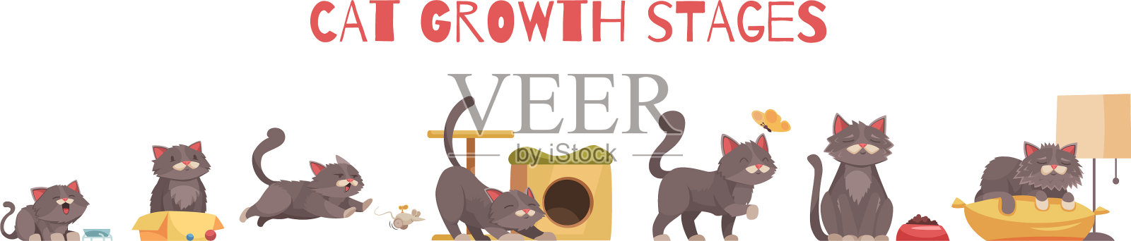 猫的生长期组成插画图片素材
