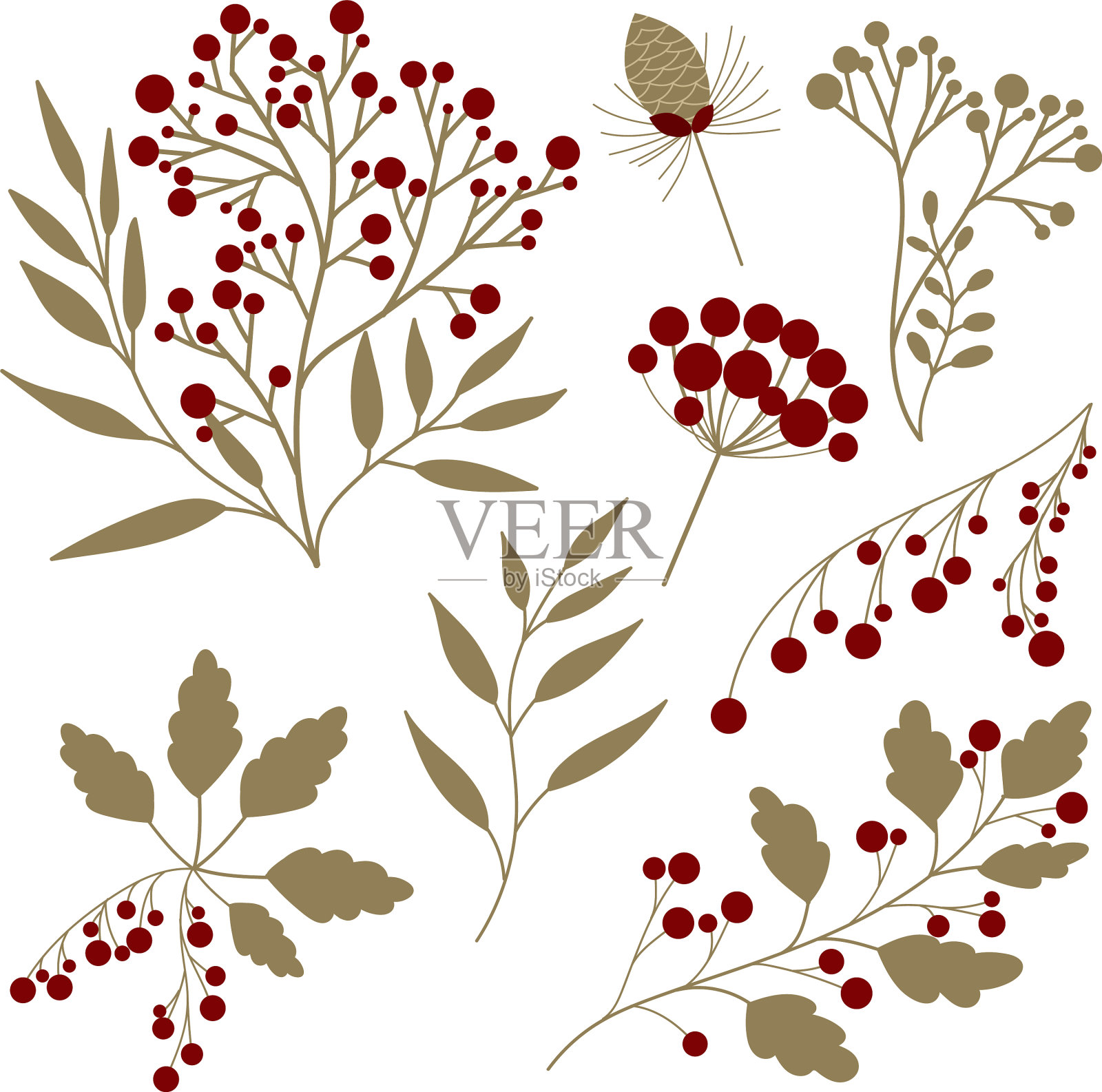 设置红色森林浆果与香草和植物插画图片素材